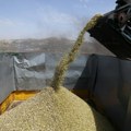 Prva trgovanja na Produktnoj berzi novim rodom sojinog zrna
