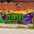 Umetnici iz Srbije i Nemačke sa mladima oslikali četi murala u Vranju