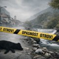Šok za meštane Ivanjice: psi otrovani na više lokacija, leševi bacani u reku