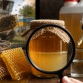 Скандал на тржишту меда: Фалсификати Србију коштају 1,08 милијарди евра, опасни и по здравље и по економију
