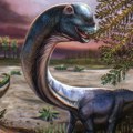 Kako je izgledao Nagatitan? Naučnici na Tajlandu otkrili fosil nove vrste dinosaurusa
