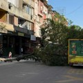Palo drvo u Obrenovićevoj ulici u Nišu, blokiran saobraćaj