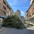 Palo drvo u Obrenovićevoj ulici u Nišu, blokiran saobraćaj