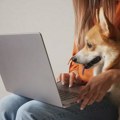 Veterinari upozoravaju - ne lečite kućne ljubimce na društvenim mrežama