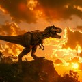 Udar asteroida kao efekat termosa: Dinosaurusi su mogli da izumru za nekoliko sekundi
