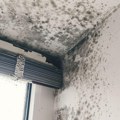 Ovako Finci trajno rešavaju problem vlage u kućama: Ne košta ništa, a provereno radi