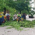 Pukla slezina nakon pada zbog oluje: Nevreme u Vršcu - Povređeni građanin na VMA, za sat oboreno više stabala
