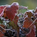 Svanulo hladno jutro u Srbiji, temperatura oko nule: Kakvo nas vreme danas očekuje