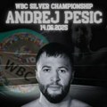 Andrej Pešić dobio drugu šansu da se bori za svetsku WBC titulu