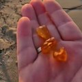(Video) Turisti i meštani zanemeli pred ovim otkrićem Ćilibarska groznica trese Poljsku plaže preplavljene dragocenom smolom…