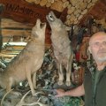 Stočari ga zovu posle napada vukova: Meho sa Peštera iza sebe ima 51 odstrel
