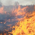 Požar duž administrativne linije, brzo se širi zbog vetra: Gori oko 15 hektara šume i livada u ataru sela kod Kuršumlije