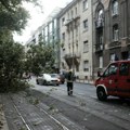 Haos u Bileći: Vetar obarao stabla i nosio crepove s krovova