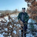 Oni badnjak ne kupuju na pijaci! I najmlađi Mateja čuva tradiciju, pošao sa ocem u šumu (foto, video)