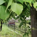 Kragujevac: Vremenska prognoza za narednu sedmicu (od 7. do 13. jula)