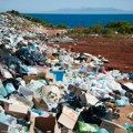 DW: Revolucionarno otkriće u Srbiji - crvi koji jedu plastiku