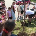 Zasadi i ulepšaj školsko dvorište
