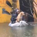 Devojke spasile pse od poplave u Blacama: Bez razmišljanja uzele stvar u svoje ruke, Balkanci oduševljeni (video)
