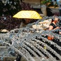 Danas sunčano i toplo, ponegde sa pljuskom: Najviša dnevna do 33 °C