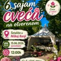 Šetalište u Niškoj Banji ponovo u cvetnom ruhu: U ponedeljak 6. Sajam cveća