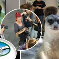 Kad tigar pozira, a vrabac uleti u kadar: Kako izgleda lov na savršenu fotografiju na radionici u Beo zoo vrtu