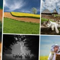 Agroklub: Najbolje ruralne fotografije u 2023. godini