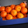Sa granice vraćene mandarine iz Hrvatske, u njima nedozvoljeni pesticid