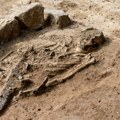 Nađen par bronzanih naušnica: Rekonstrukcija kanalizacije u Novom Sadu dovela do otkrića arheološkog nalazišta