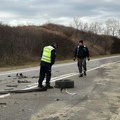 Teška nesreća kod Leskovca: Branimir "nisanom" sleteo sa puta, na mestu ostao mrtav