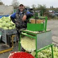 Rodio manje nego ranijih godina: Na zrenjaninskoj pijaci slaba ponuda kupusa, a cena će, kažu prodavci, da raste (foto)