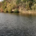 Званичне анализе тврде једно, удружење грађана Борани се питају друго: Шта се дешава са водом на Борском језеру?