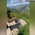 "Pozvao se na član 51!" Magarac ćuti nakon zip-lajn vožnje, policija nemoćna! (video)