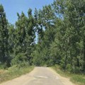 Teško povređena dva muškarca na putu od Pašine Česme – jedan prebačen u Beograd, drugi u Niš