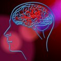 Revolucija u medicini! Ruski naučnici pronašli nov način za lečenje epilepsije