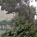 Nalet super tajfuna "Ragasa" - kritično na Tajvanu, Hongkongu i Filipinima