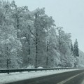 Region pod snegom: Nevreme napravilo haos u delovima Hrvatske, BiH i Crne Gore