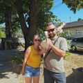 Пар из Сремске Митровице накратко удомио роду: Смештај у гаражи, папалине за ручак