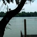 Na manje od sat vremena od Beograda nalazi se skriveno BLAGO: Kafa ispod 200 dinara, a plaža SAVRŠENA