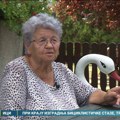 Ima jedno mesto... Mini zoološki vrt u Temerinu ne liči ni na jedan drugi