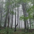 Danas tmurno, od ponedeljka toplije vreme