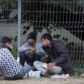 Koliko je osnovan strah od migranata