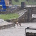 Neverovatan prizor na reci Đetinji u Užicu: Dvojica muškaraca opušteno se brčkaju u hladnoj vodi a kiša pljušti…