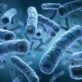 Pojavila se opasna bakterija: Širi se zaraza