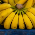 U pošiljci banana iz Ekvadora pronađen kokain vredan 2,9 miliona evra