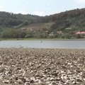 Jezero sa koga se 200.000 ljudi snabdeva vodom za piće, prekriveno ljušturama školjki i puževa, meštani u šoku: "Ovde sam…