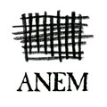 ANEM: Eksplozivna atmosfera zahteva efikasniji odgovor institucija