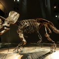 Da nije bilo asteroida dinosaurusi bi još bili tu