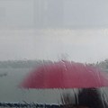 Hoće li sunce ili kiša? Meteorolozi na udaru pitanja građana: "Kakvo će vreme biti sledećih dana?"