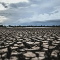 Suša, poplave i požari tokom leta koštali EU preko 43 milijarde evra