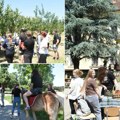 Održan Dan otvorenih vrata u Srednjoj poljoprivrednoj školi u Futogu Osmacima prikazan poljoprivredni radni dan